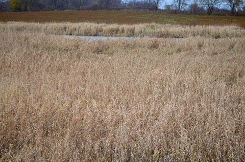 Property photo 44 - 80 Acres & Home - Property Offered in 4 Tracts from 2.3 to 30.0 Acres